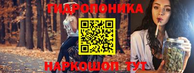 гидропоника Лесосибирск