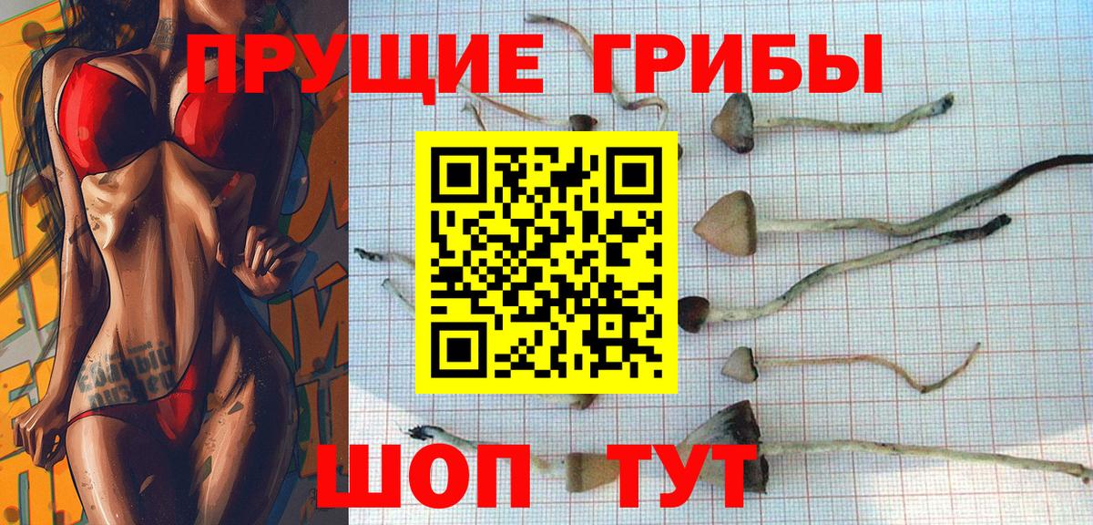 Галлюциногенные грибы GOLDEN TEACHER Чусовой