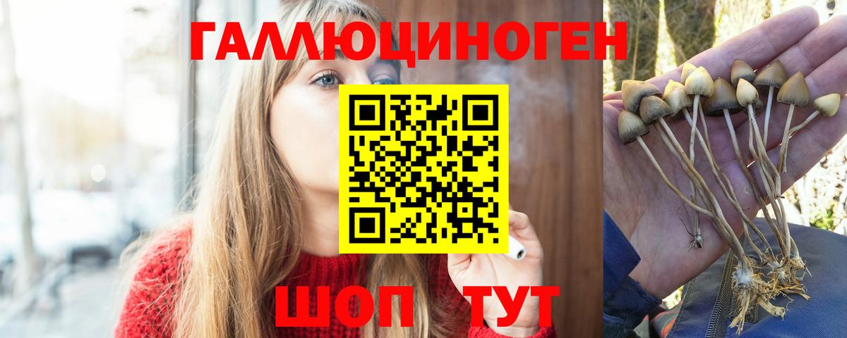 Галлюциногенные грибы ЛСД  Вход с VPN  Псилоцибиновые грибы прущие грибы  Чусовой 